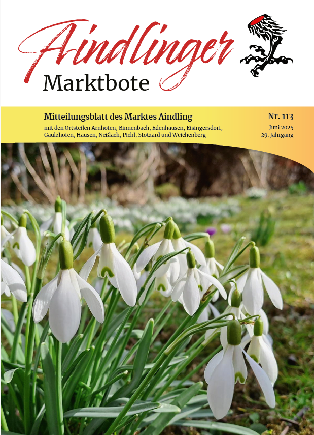 Marktbote Juni Bild